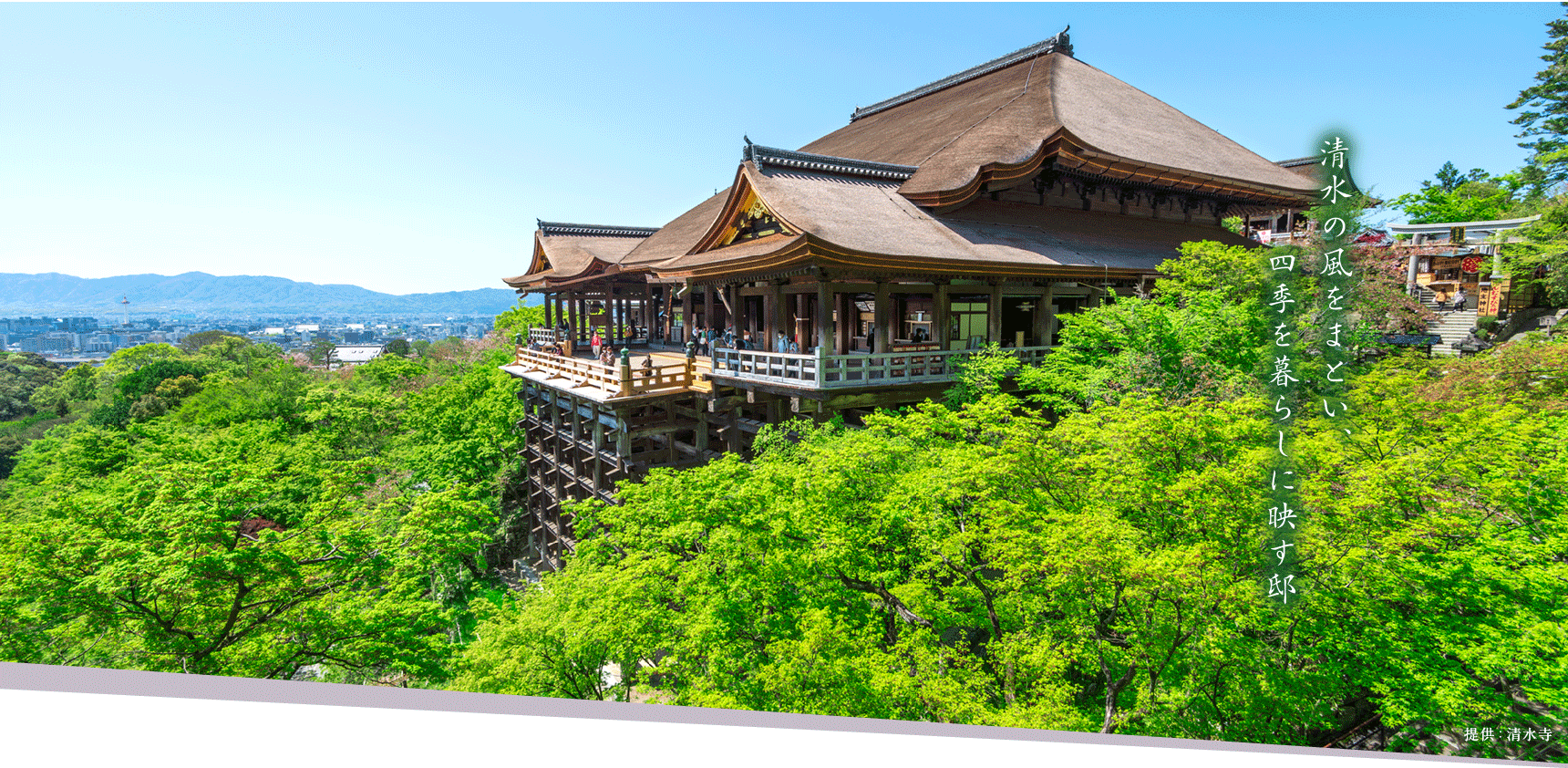 清水の風をまとい、四季を暮らしに映す邸