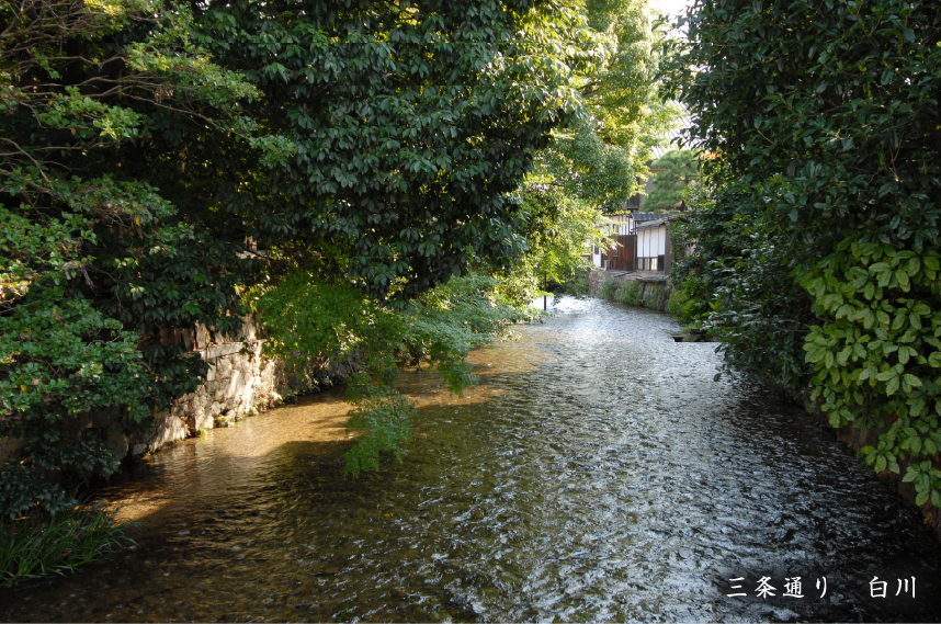 三条通り　白川